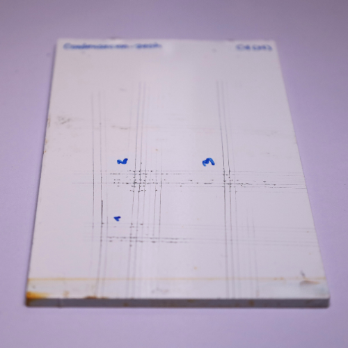UNE-EN ISO 12944-6: Pinturas y barnices